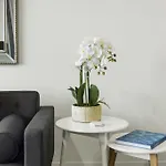 Beach Apartment Port Melbourne