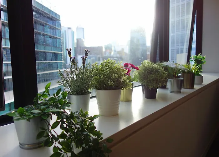 Qv2 Apartment