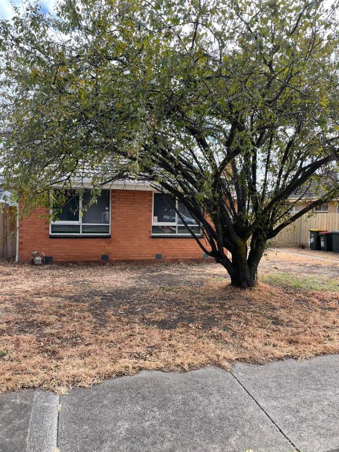 3 Bedroom Family House Close To Airport Holiday home Melbourne