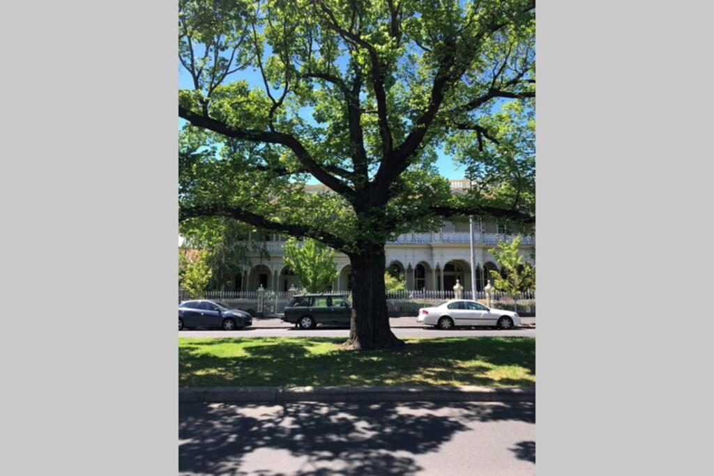 East City Studio - Amazing Location & Sunny Charm Melbourne