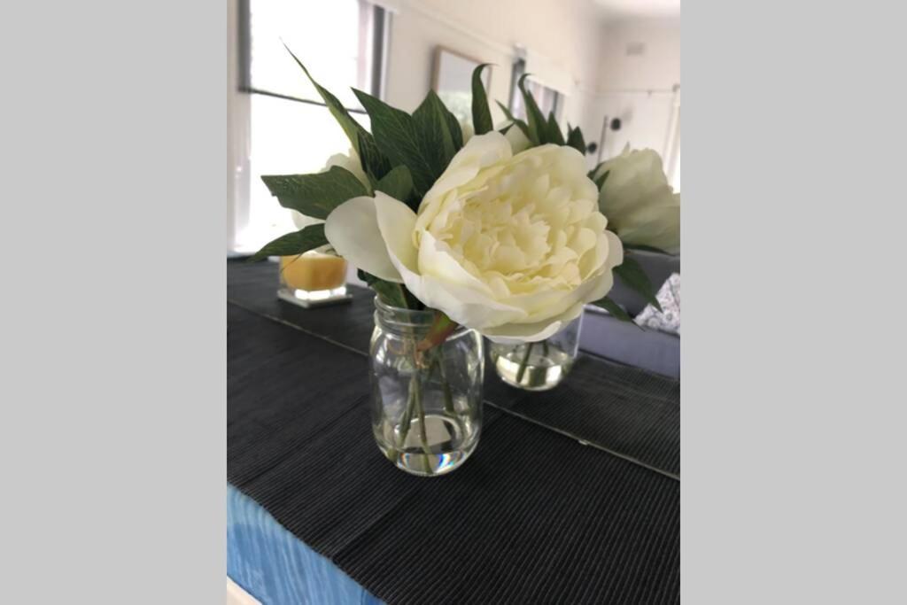 East City Studio - Amazing Location & Sunny Charm Melbourne