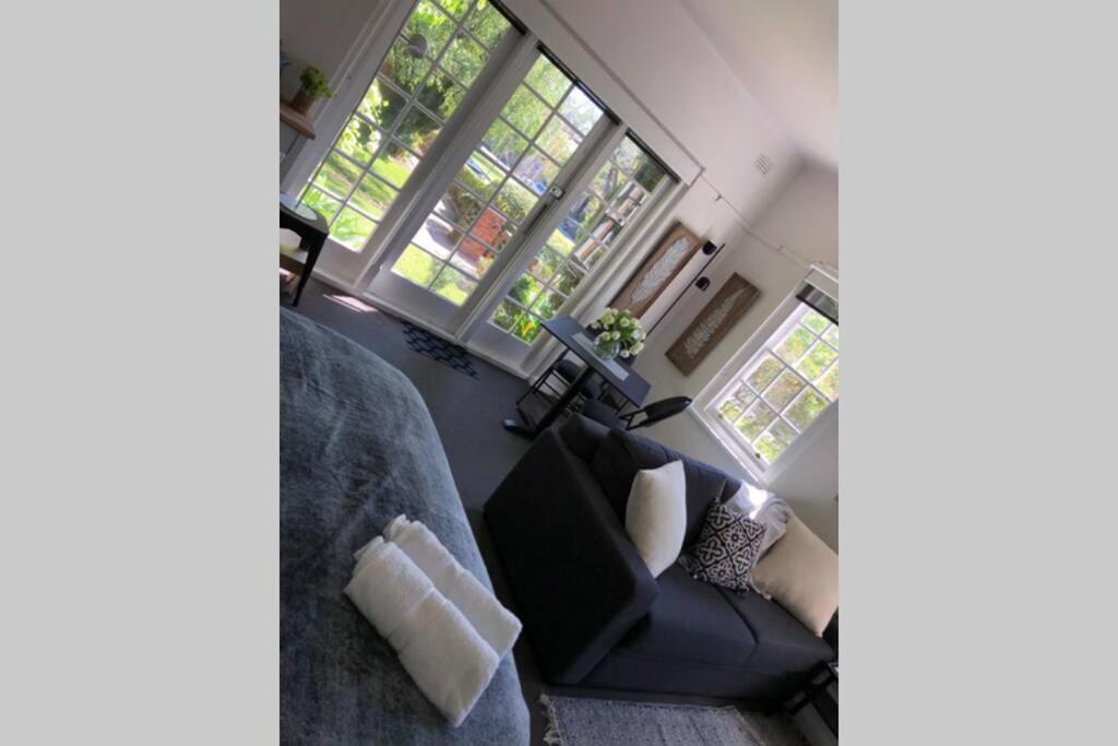 East City Studio - Amazing Location & Sunny Charm