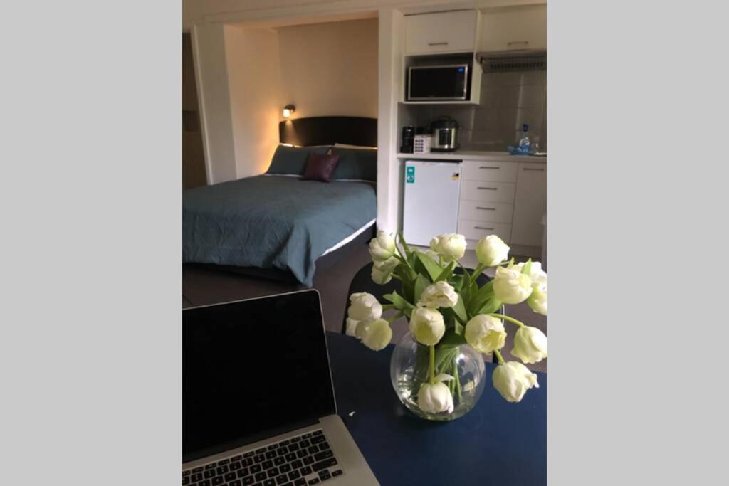 East City Studio - Amazing Location & Sunny Charm
