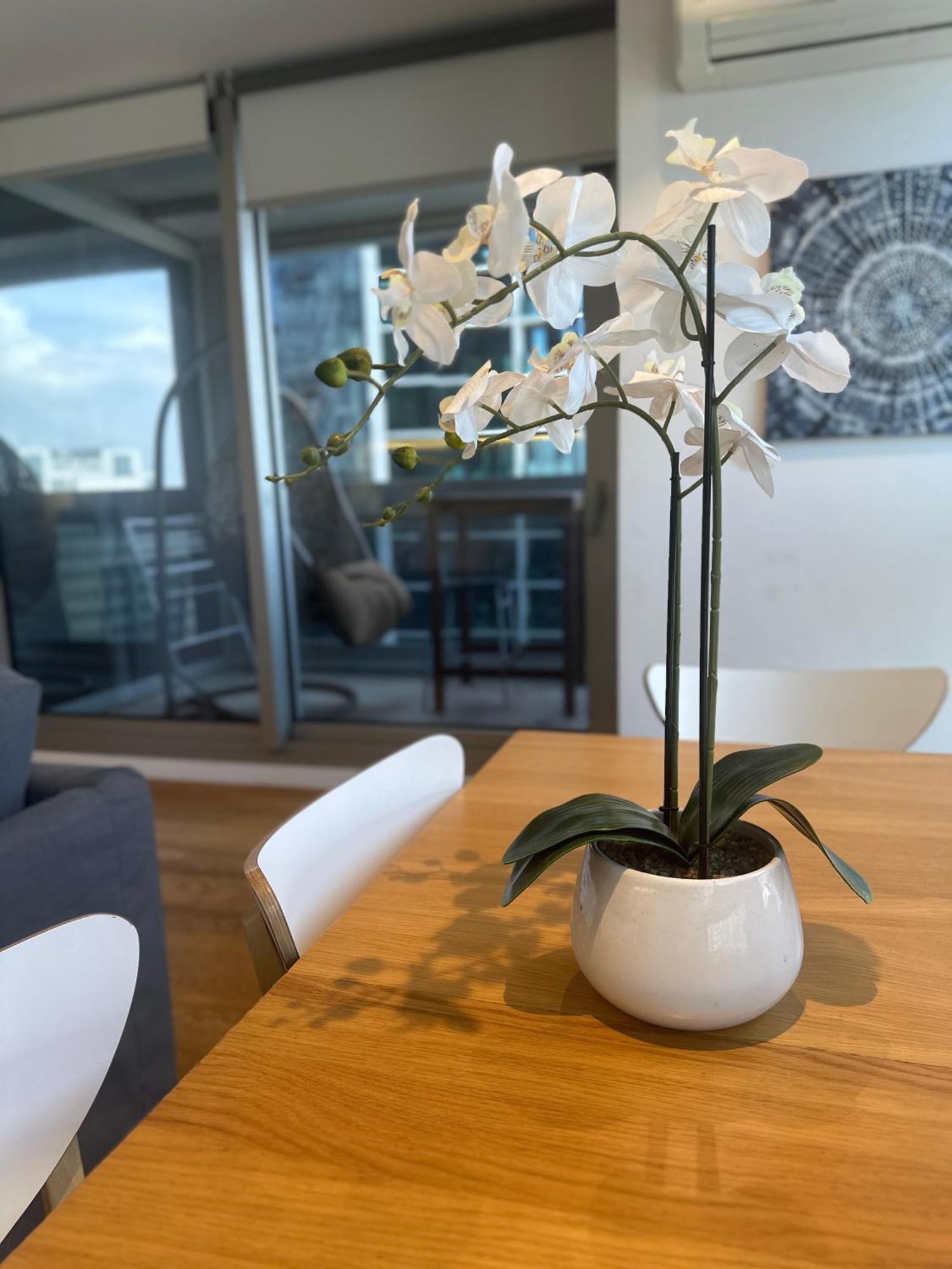 Apartment Nest On Rose Lane Melbourne