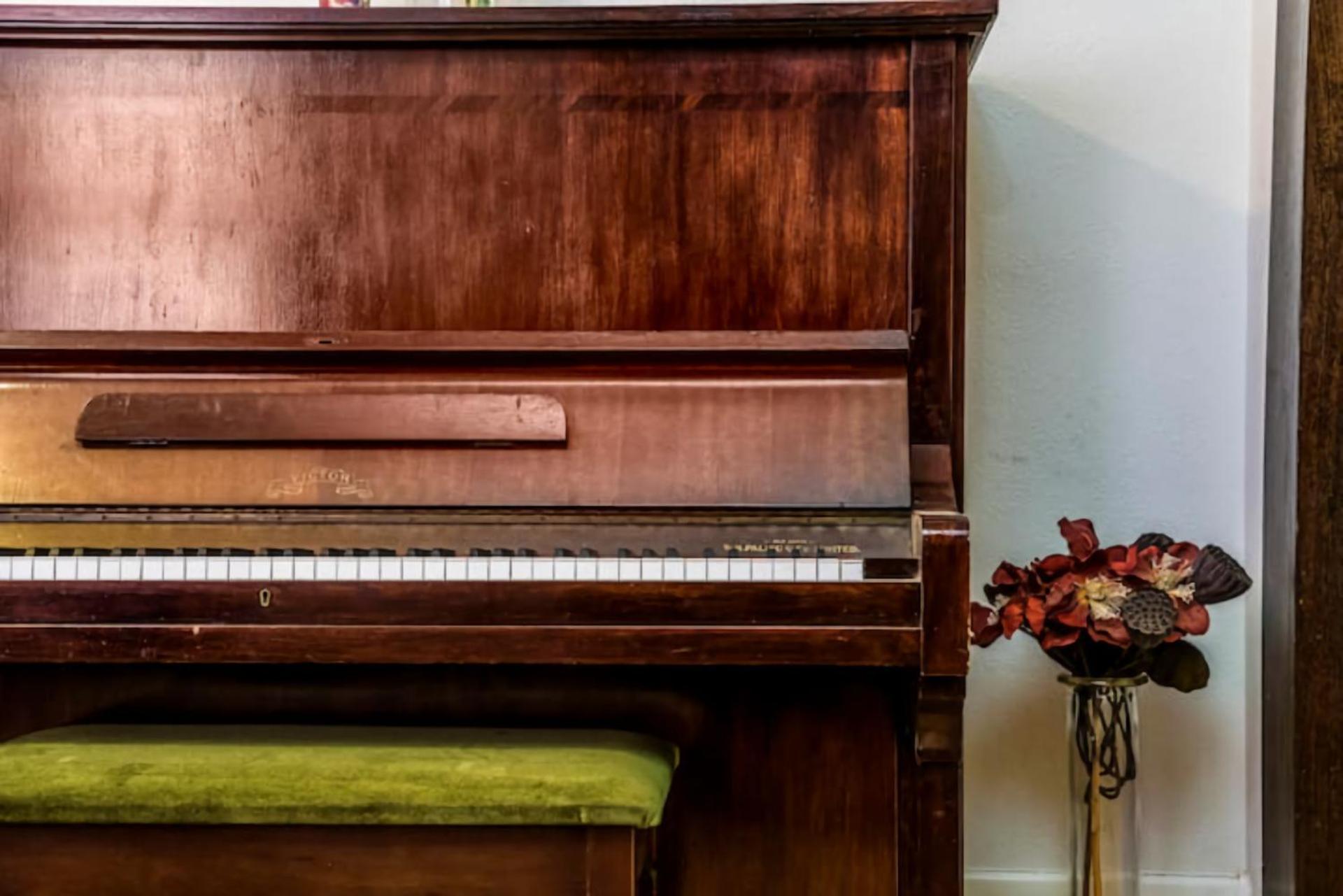 Elwood Eclectic Gem Walk To St Kilda *