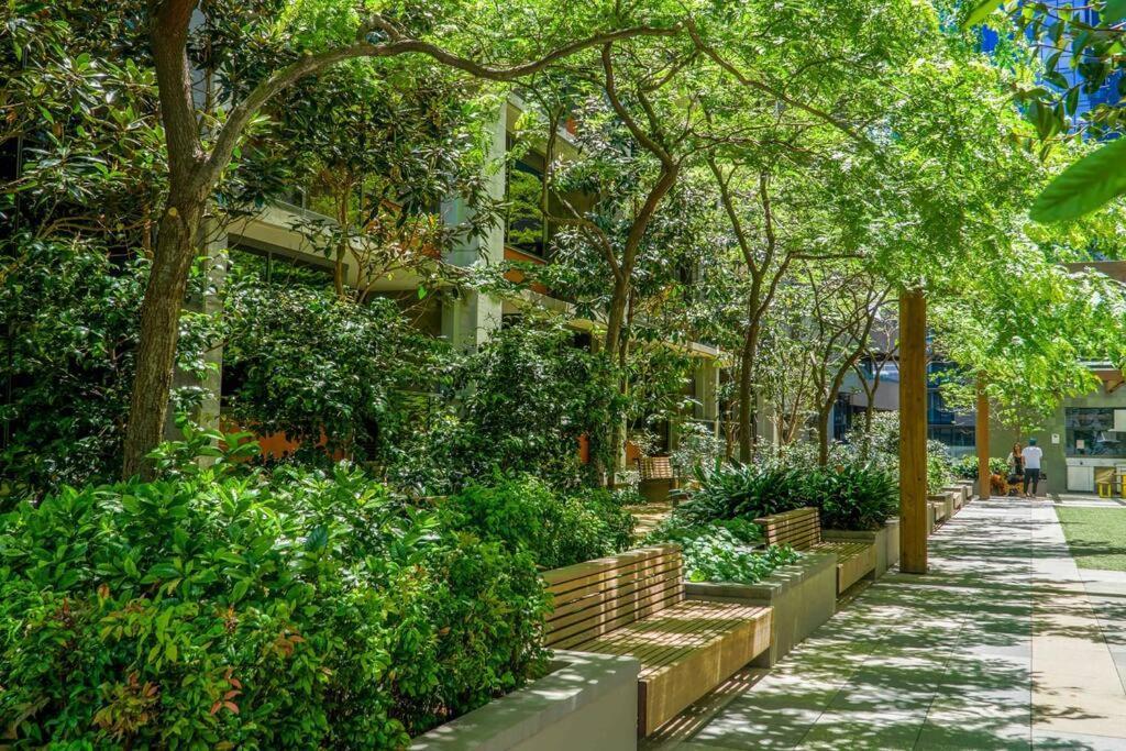 Apartment Location In The Cbd; Pool, Gym, Rockclimbing +7 Other Amenities