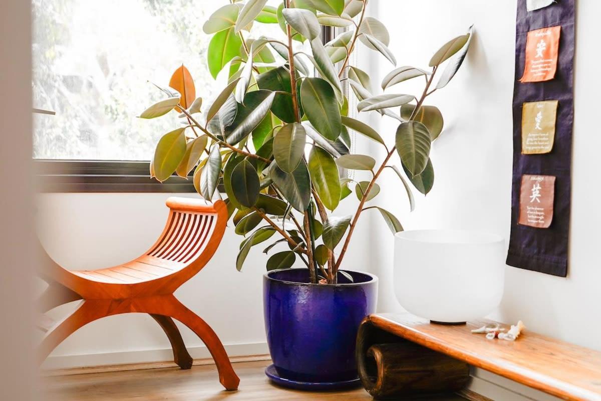 Brunswick Executive 2br With Parking Melbourne