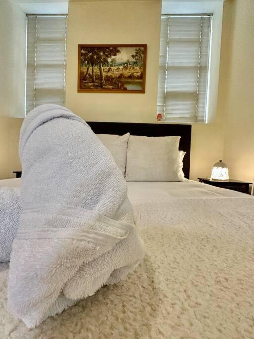 Apartment Spacious 2br Haven Free Parking