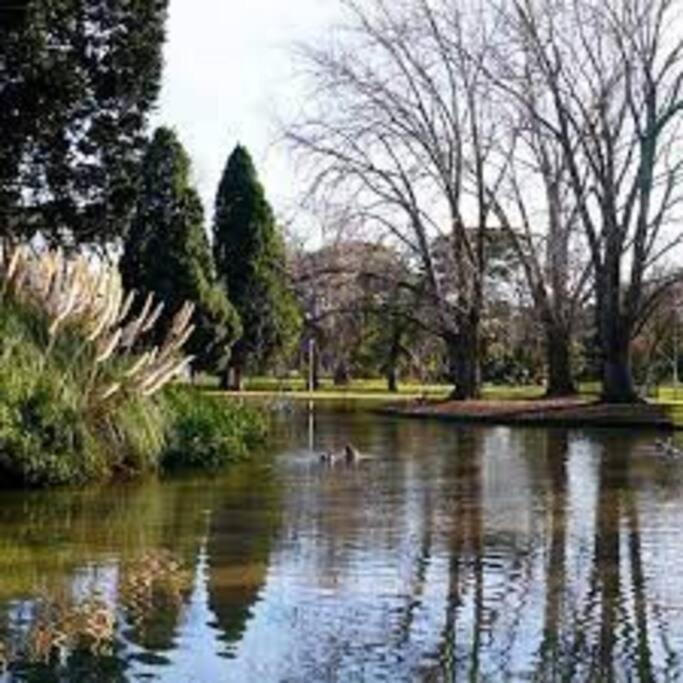 Hidden Gem At Caulfield Park *