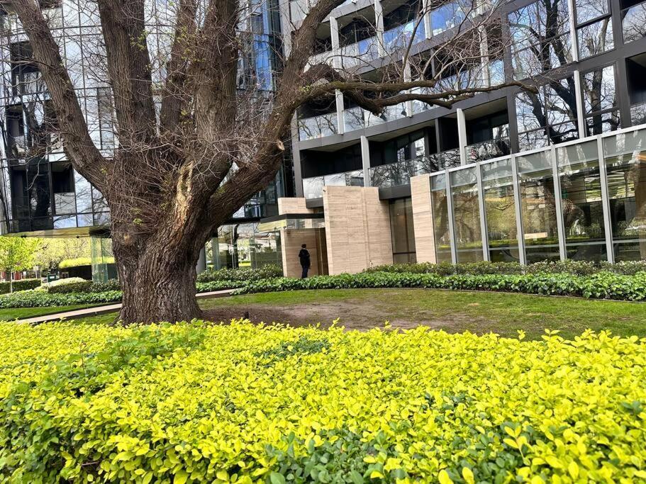 Royal Executive Living Grand Bayview Corporate Residency Melbourne