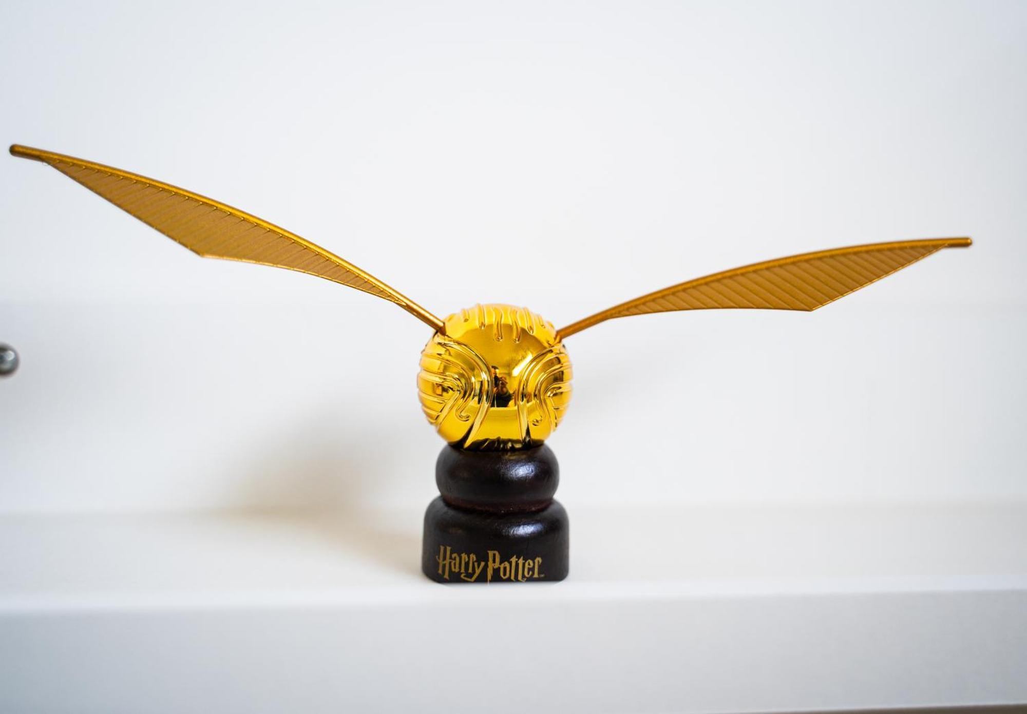 Welcome Muggles To The World Of Wizardry *