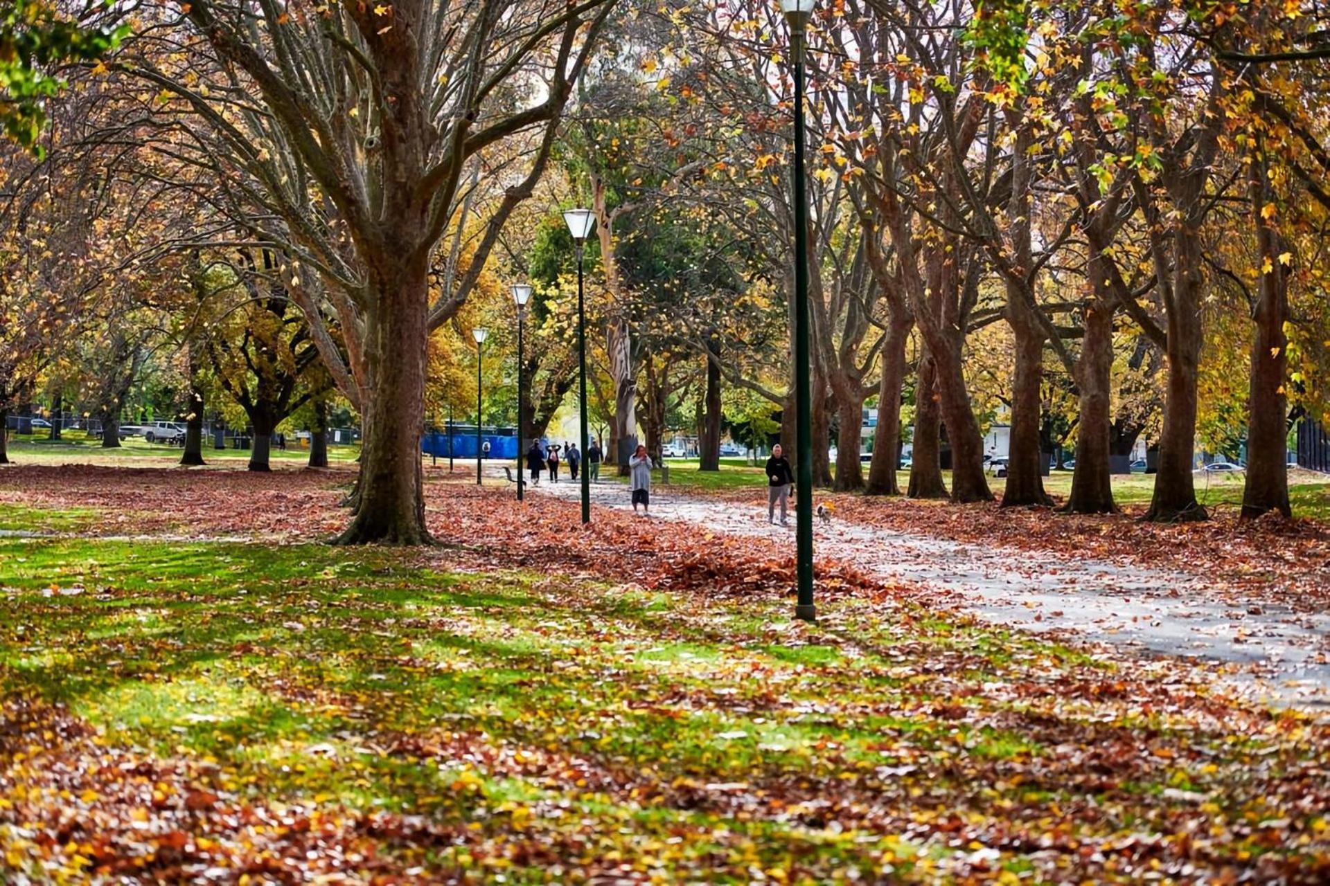 Holiday home Charming Fitzroy Retreat Art, Dining, Serenity Melbourne