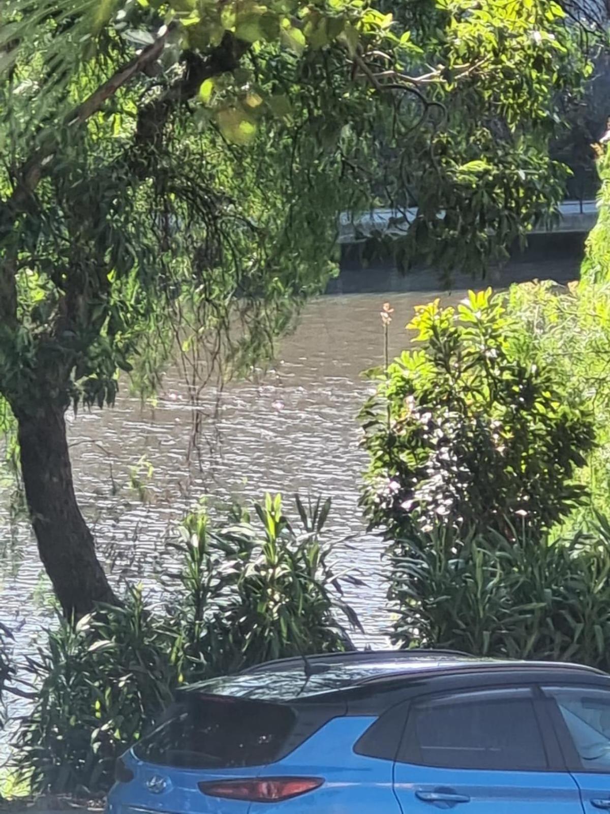 On The Yarra River Melbourne