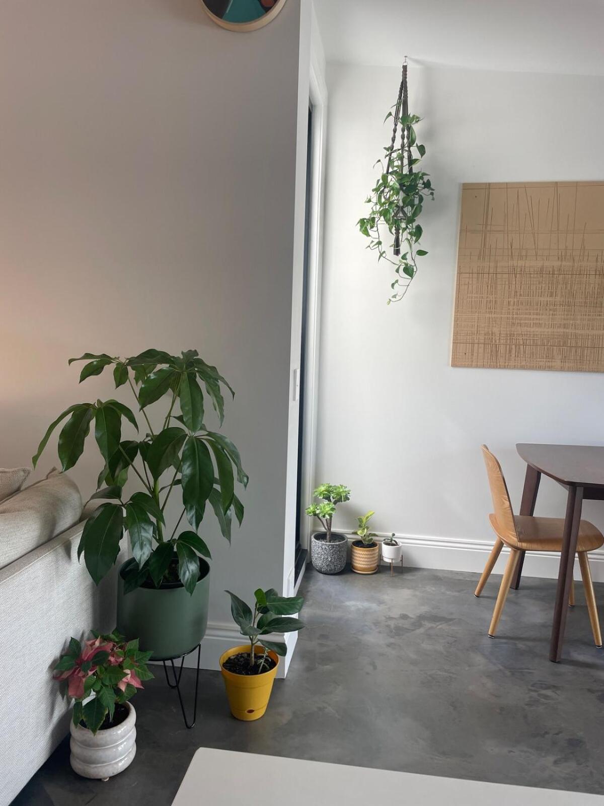 Terrace Paradise In Fitzroy *