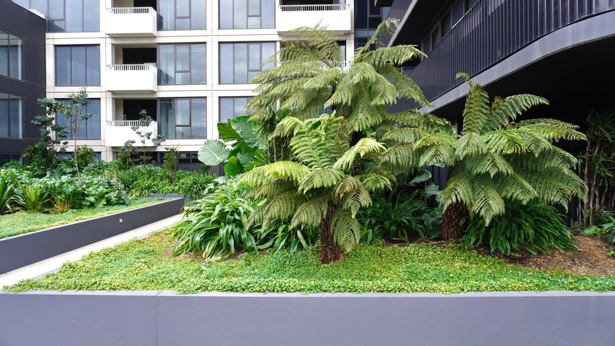 Apartment Modern Living - 2br 2bath Melbourne