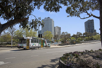 St Kilda Icon S Collection *