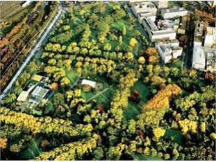 Birches Townhouse Apartment *
