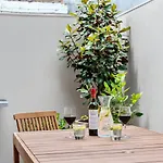 Awesome Albert Park Art Deco Gem 2 Bedroom Bevan 2