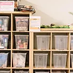 Carrichostel