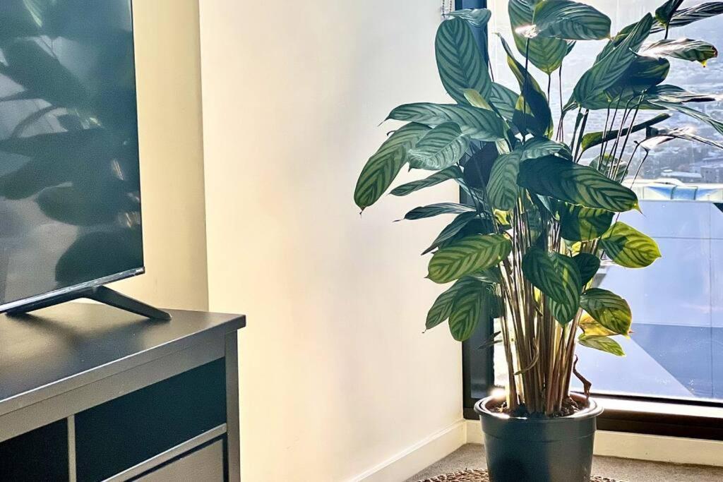 Apartment Luxurious 2 Bed With Captivating View Melbourne