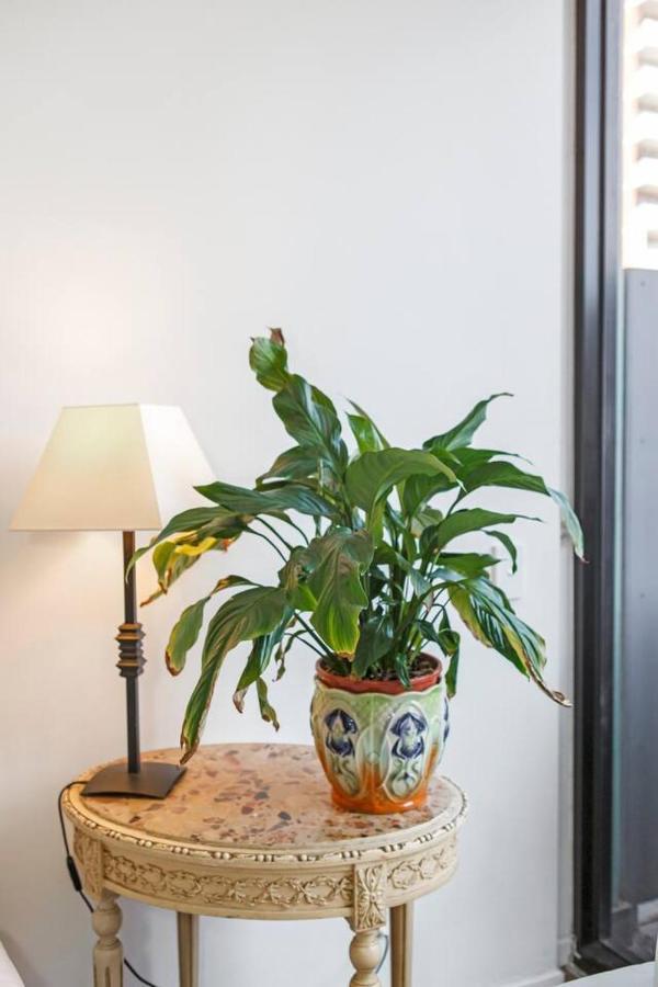 Apartment Contemporary Comfort Between Fitzroy And Carlton *