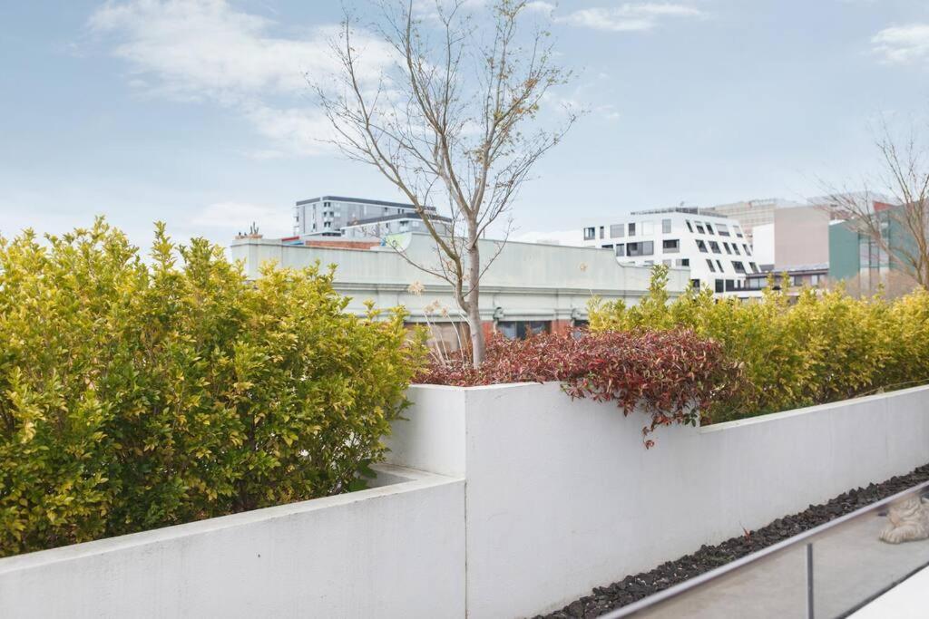 'the Inner Circle' Serene Balcony Abode On Cambridge Melbourne