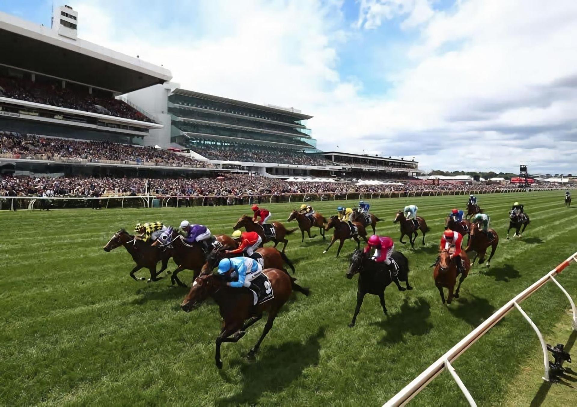 Apartment Gallop To Your Getaway! Melbourne