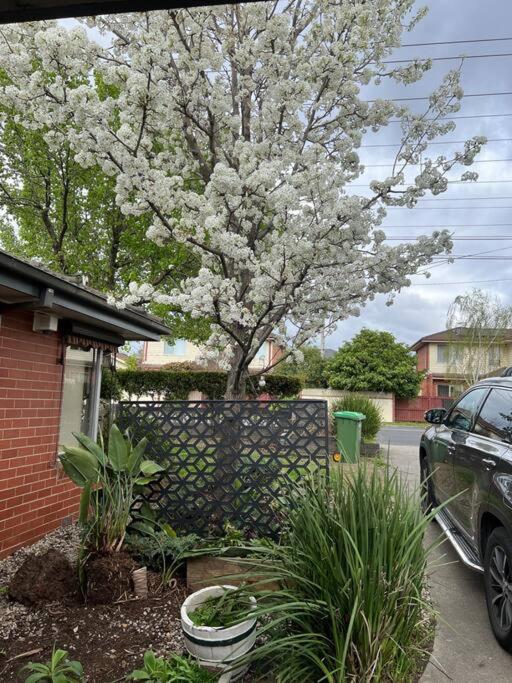 Newly Refurbished House- Superfast Internet Melbourne