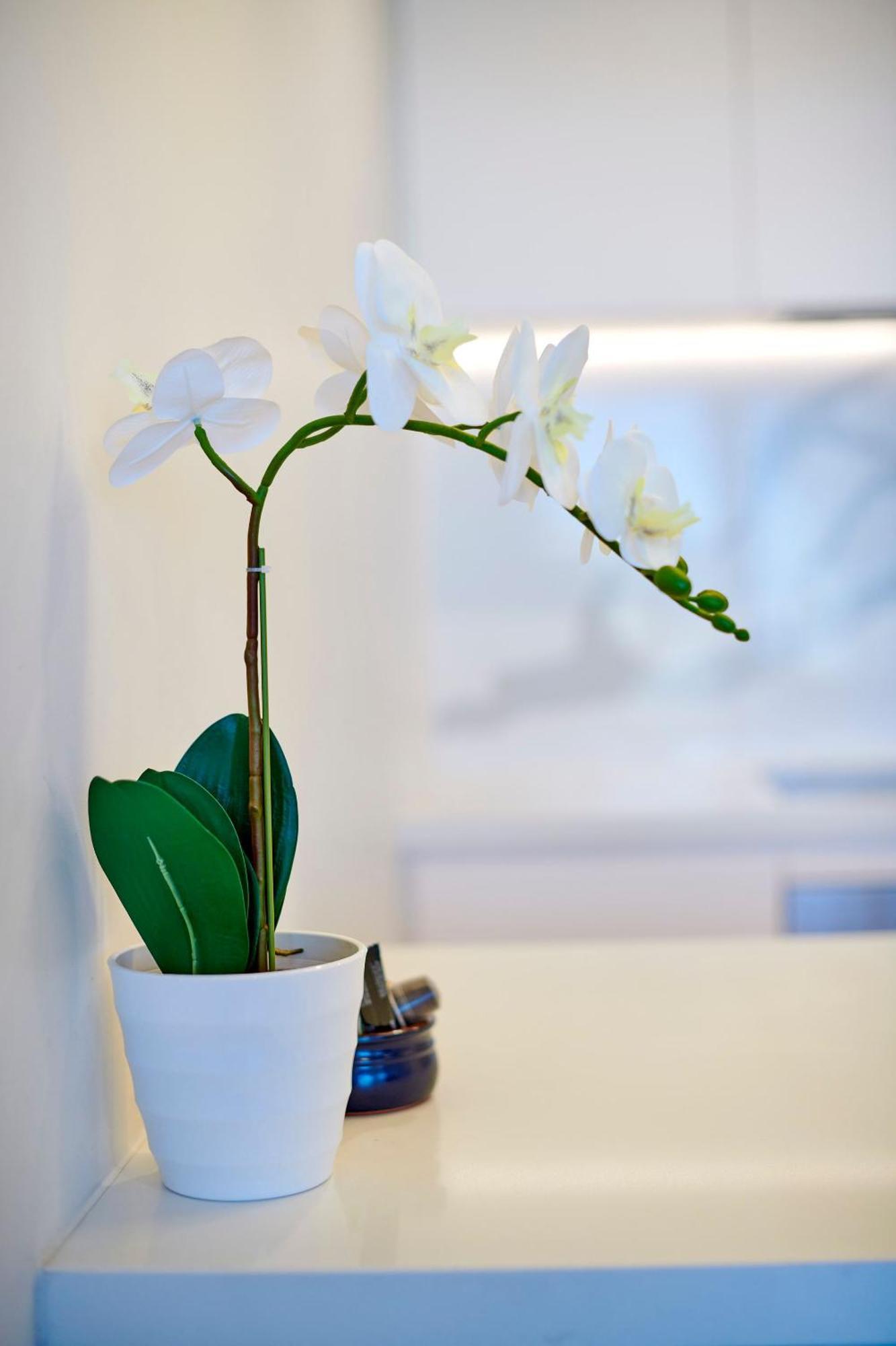 Stylish 2br On St Kilda Rd With Pool & Parking Apartment Melbourne