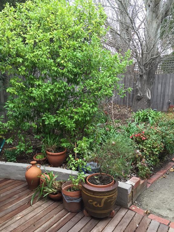 Garden St Kilda *