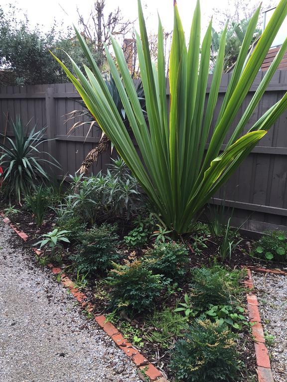 Garden St Kilda * Melbourne